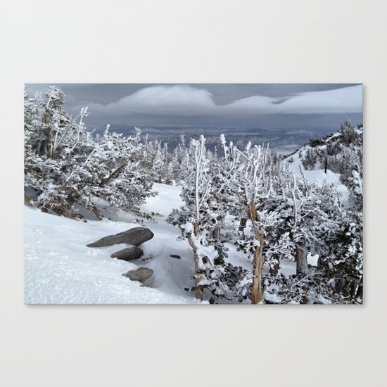 Mt Rose Canvas Print