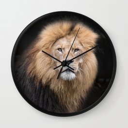 Closeup Portrait of a Male Lion Wall Clock