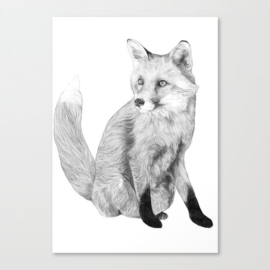 Neville Canvas Print