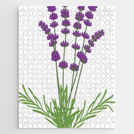 Lavender Lavandula Flower Graphic Jigsaw Puzzle