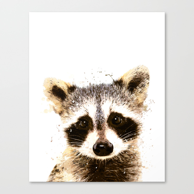 Racoon watercolour painting on canvas board