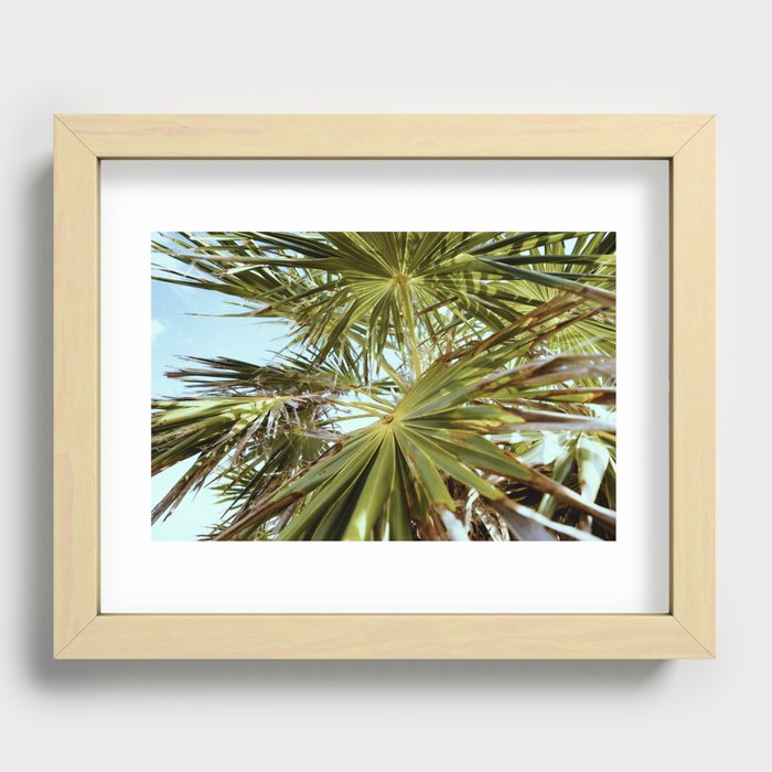 Palms Recessed Framed Print