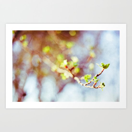Spring Buds Art Print