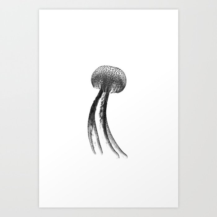 Jellyfish 171101-0980 Art Print