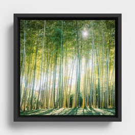 Japanese Bamboo Forest Fine Art Print Framed Canvas