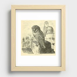 Barn-owls (1893) Recessed Framed Print