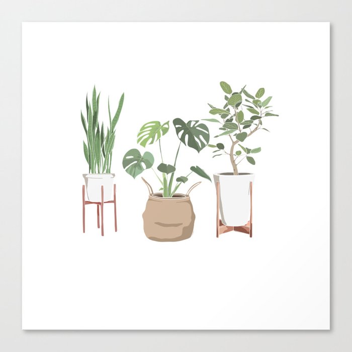 Plant Babies Canvas Print