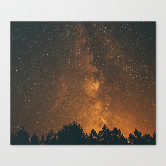 The Milky Way (Forest Landscape Photography, Starry Night Sky Photo) Canvas Print