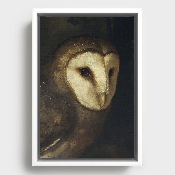 Framed Canvas