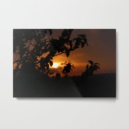Sunrise Foliage Metal Print