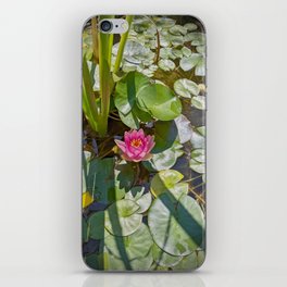 Pink Lotus Flower iPhone Skin
