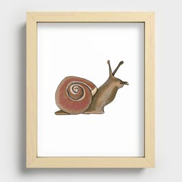 Garden Snail Recessed Framed Print
