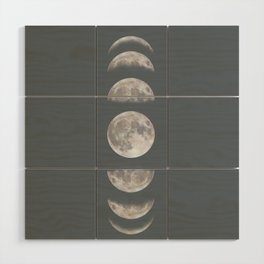 Phases Wood Wall Art