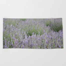 Focus On The Foreground Lavender Field Photography Beach Towel