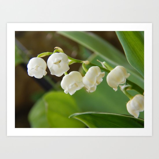 Bell flowers Art Print