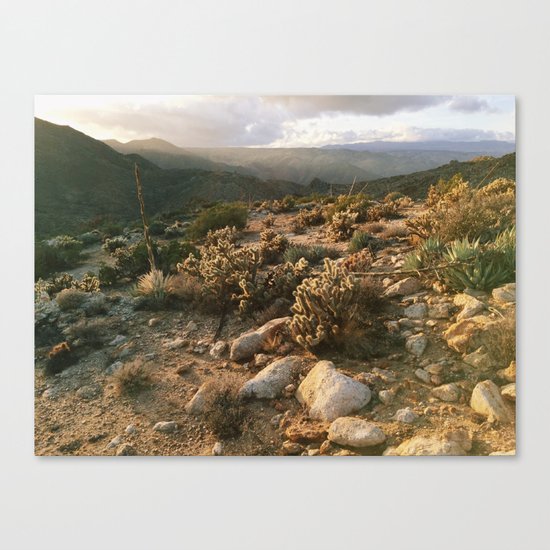 Borrego Desert Sunset Canvas Print