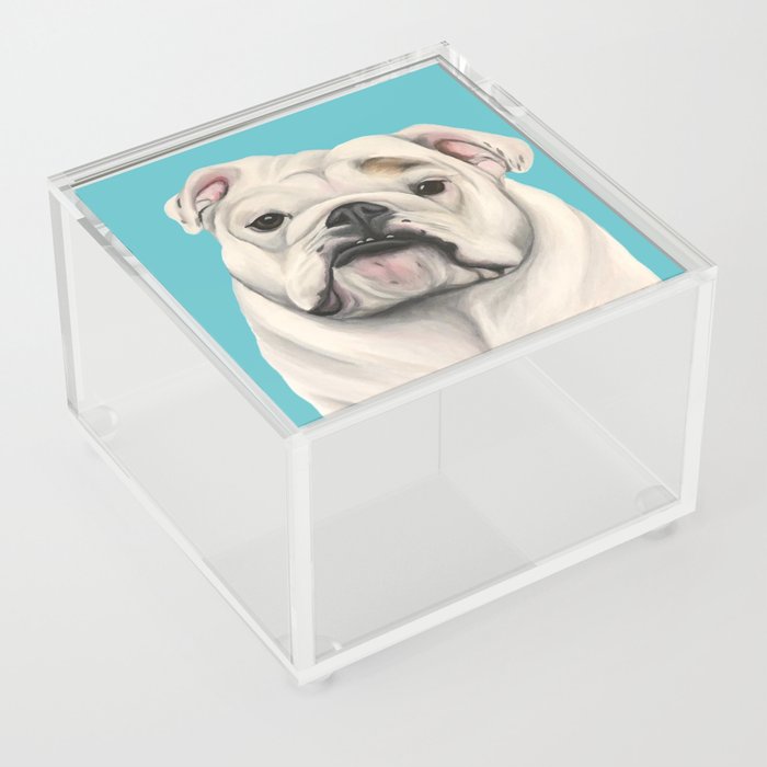 Sweet Little English Bulldog Acrylic Box