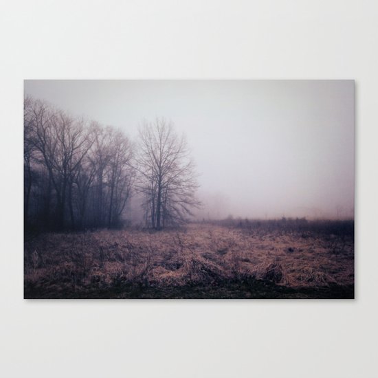 morning Canvas Print