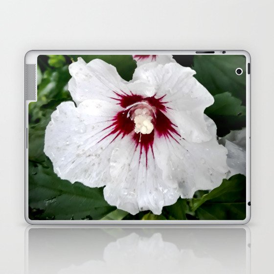 White Hibiscus garden after the rain Laptop & iPad Skin