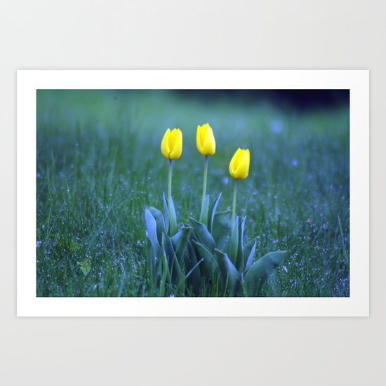 yellow flowers. Art Print