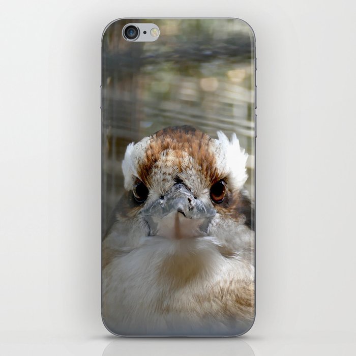 Kookabura Bird iPhone Skin