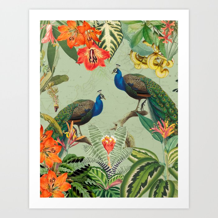 Vintage Luxurious Peacocks And Tropical Flower Jungle Art Print