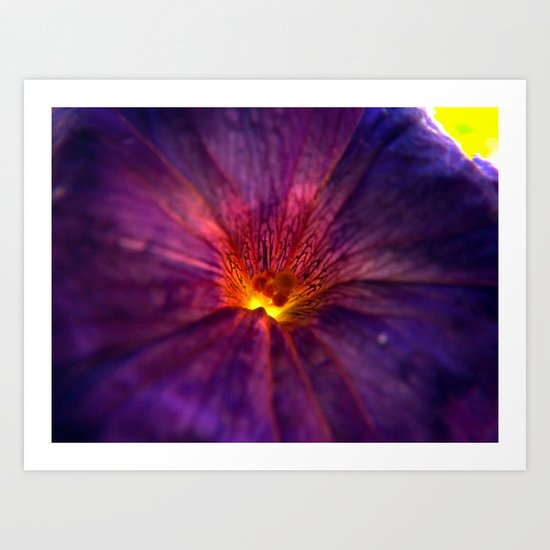 Purple Flower Art Print