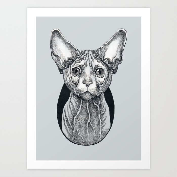 Sphynx cat Art Print