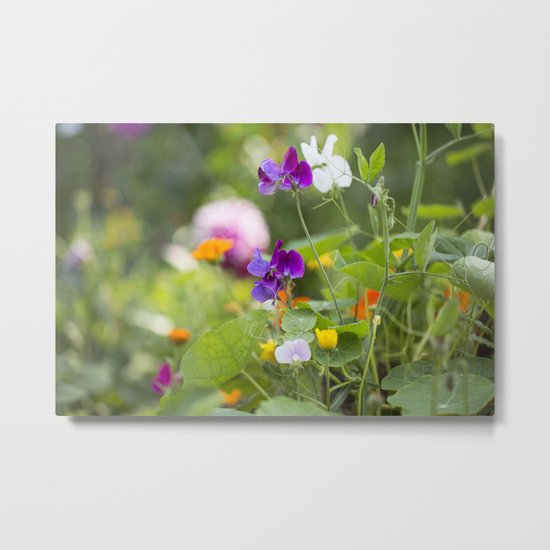 Summer Flowers colorful green meadow Metal Print