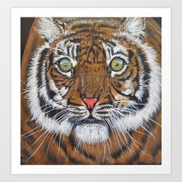Siberian Tiger Stare Down Face Art Print