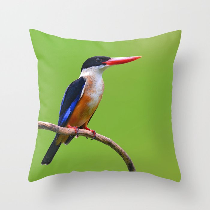 Black Capped Kingfisher Bird on Perch Animal / Wildlife Photograph Minimal Throw Pillow