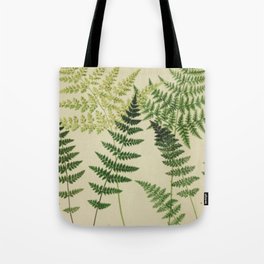 Botanical Ferns Tote Bag