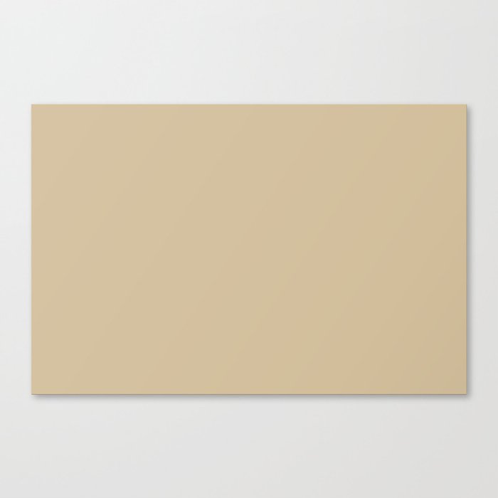 Neutral Beige / Tan Solid Color Pairs Pantone Boulder 14-1110 TCX - Shades of Orange Hues Canvas Print