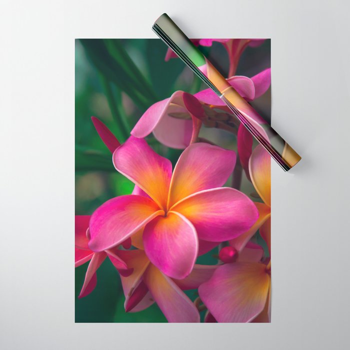 Pink Plumeria Enchanting Tropical Florals Hawaii Wrapping Paper