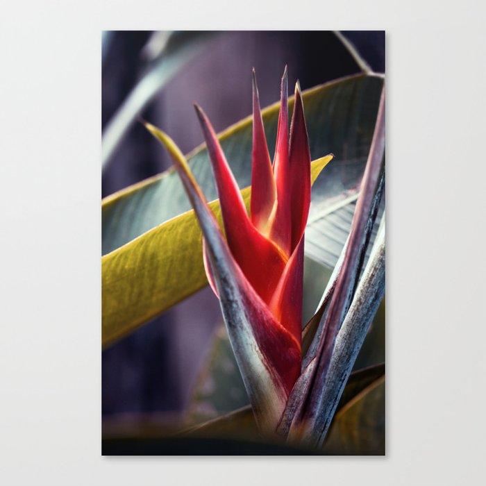 Exotic Beauty With Palm Leaves Canvas Print