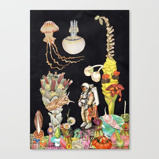 SPACE Canvas Print