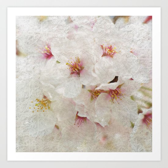 Cherry blossom #5 Art Print
