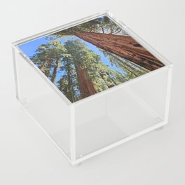 Sequoias Acrylic Box