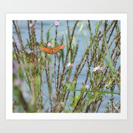 Butterfly at the lake Art Print