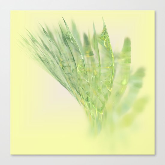fresh vegetable Canvas Print