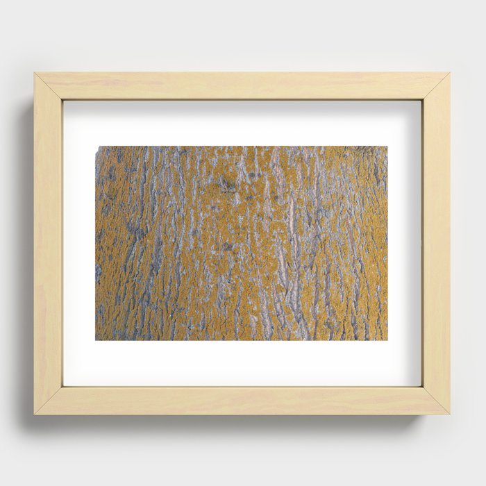 Oak tree bark and yellow lichen natural pattern Recessed Framed Print