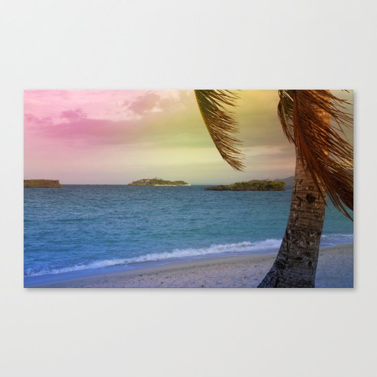 tropical sumer Canvas Print