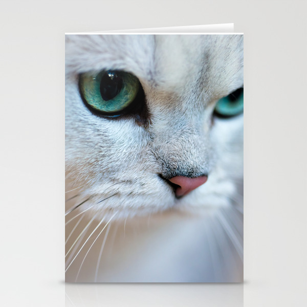 British shorthair silver shaded chinchilla cat Stationery Cards
