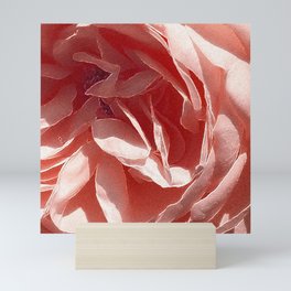 Rose Mini Art Print
