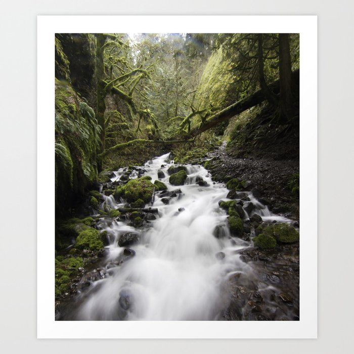 Whitewater Flow Art Print by Josh J Society6