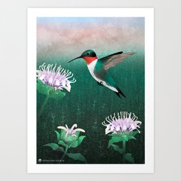 Pollinators: Hummingbird & Bergamot Art Print