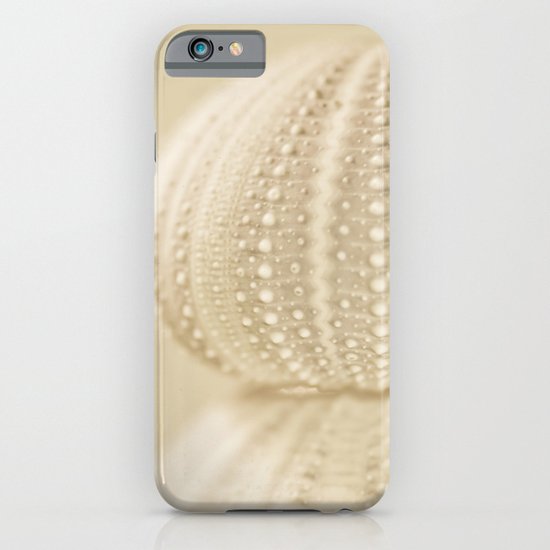 Sea Urchin No. 2 iPhone & iPod Case