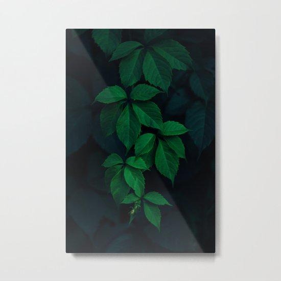green Metal Print