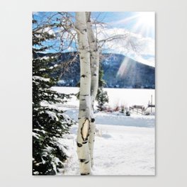 White Birch Tree in Snow Canvas Print