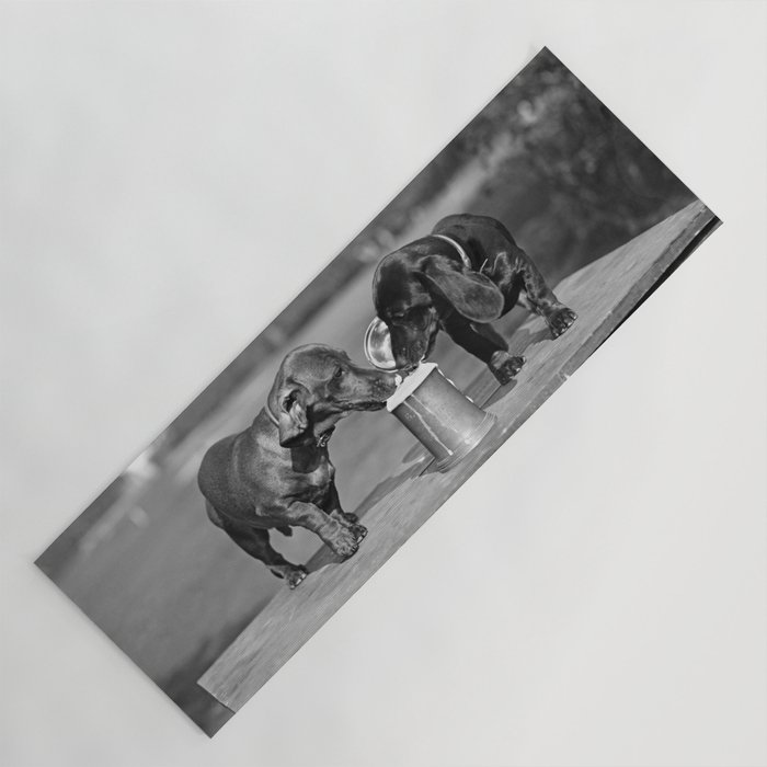 Two dogs and a beer; Dachshund siblings sharing a stein of beer on hot summer day funny humorous animal portrait photograph - photography - photographs Yoga Mat